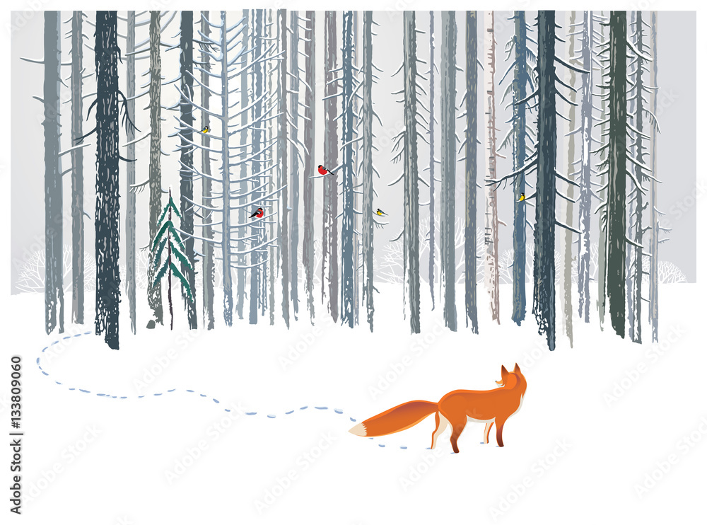 带着狐狸的冬季森林景观。