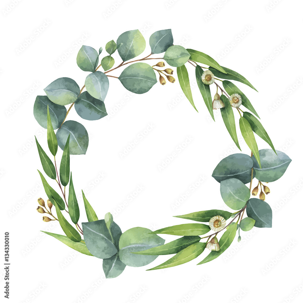 Watercolor vector round wreath with silver dollar eucalyptus.