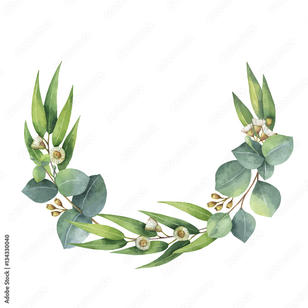 Watercolor vector wreath with green eucalyptus leaves and branches.