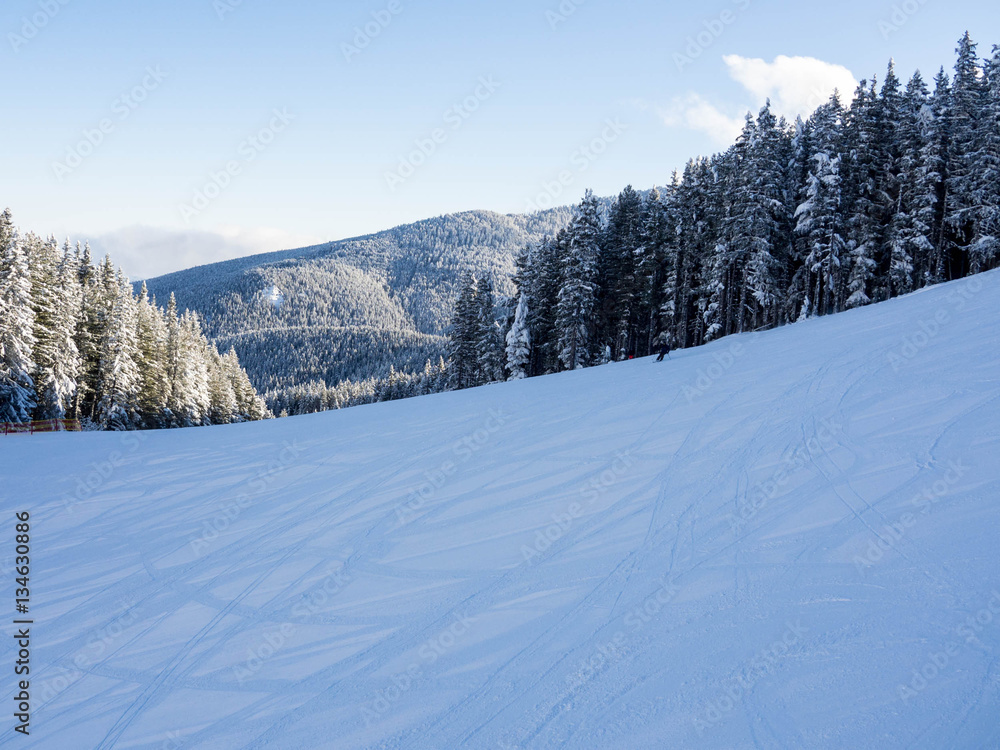 保加利亚BANSKO，2017年1月。它在保加利亚的冬季度假胜地，有着漫长的滑雪道和丰富的邪教