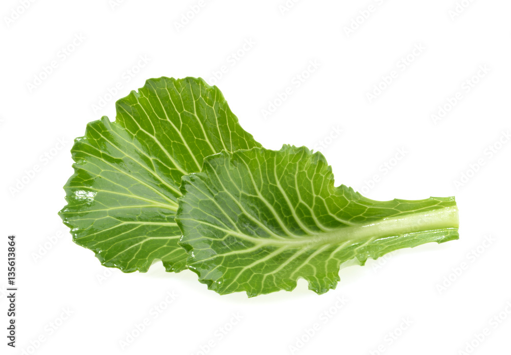 Cabbage leaves isolated on white