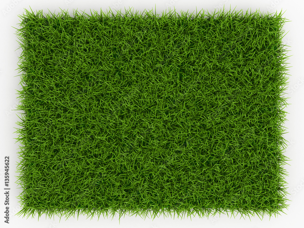 Top view of Fresh Spring Green Grass - natural background - 3d r