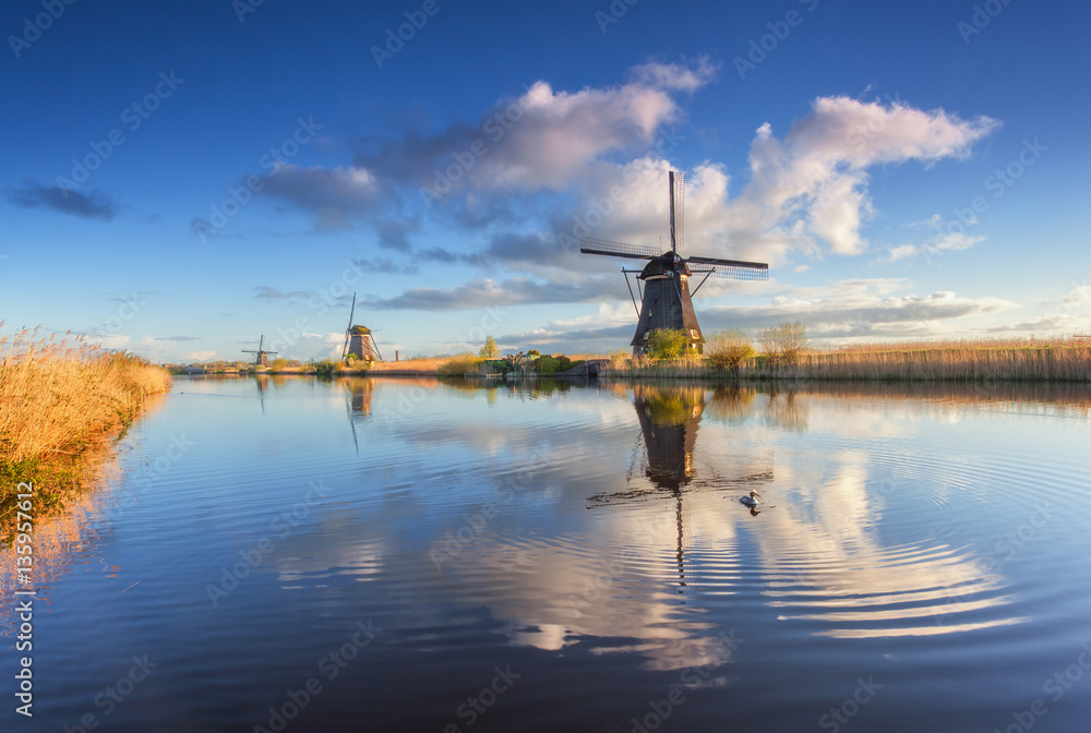 Windmills at sunrise. Rustic landscape with traditional dutch windmills near the water canals with b
