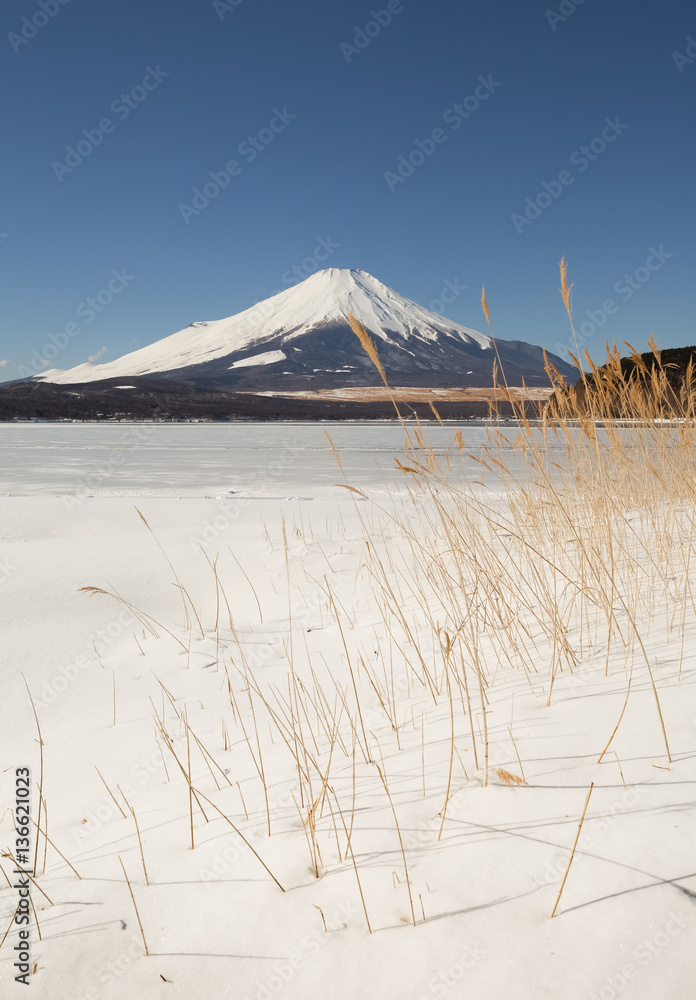 山中湖有降雪，富士山在冬季。山中湖是最大的