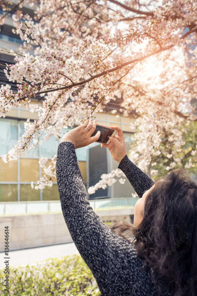 Young woman tourist take pictures sakura - cherry blossoms