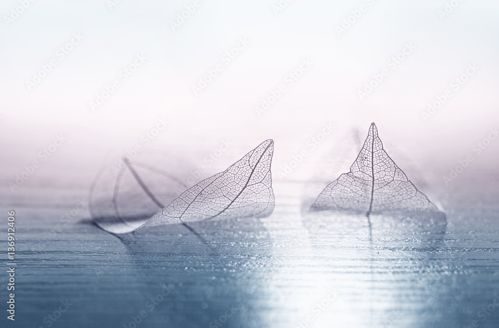 Transparent skeleton leaves in the form of ships at sea at sunrise in a fog on blue and pink backgro