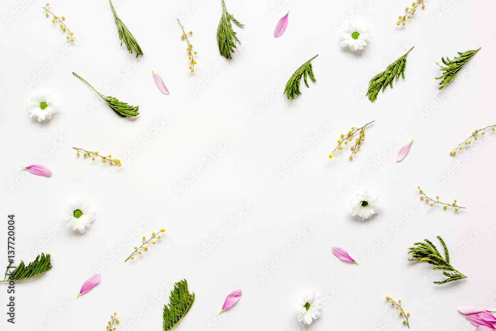 Herbal pattern with petals on white background top view mock up