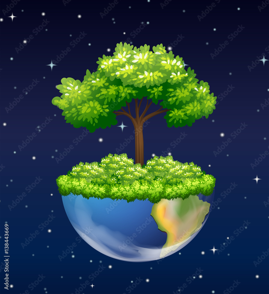 地球上生长的绿树