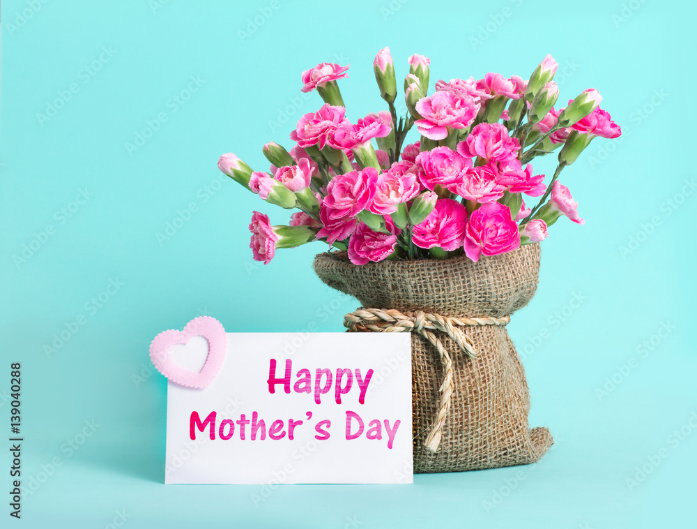 妈妈们，带着卡片和母亲节快乐信息，粉色康乃馨美丽绽放