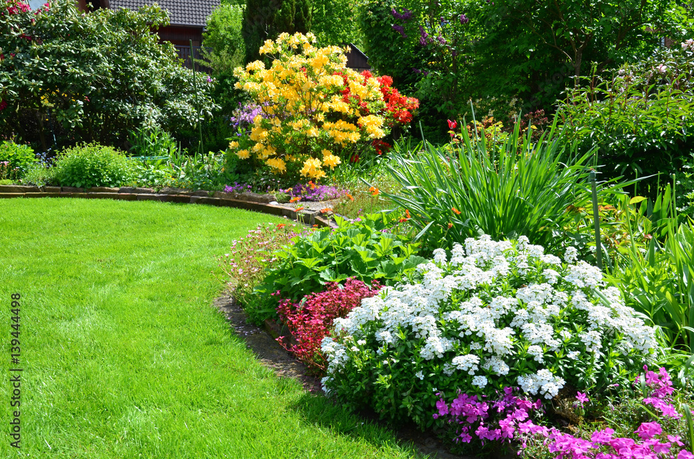 beautiful garden with lawn