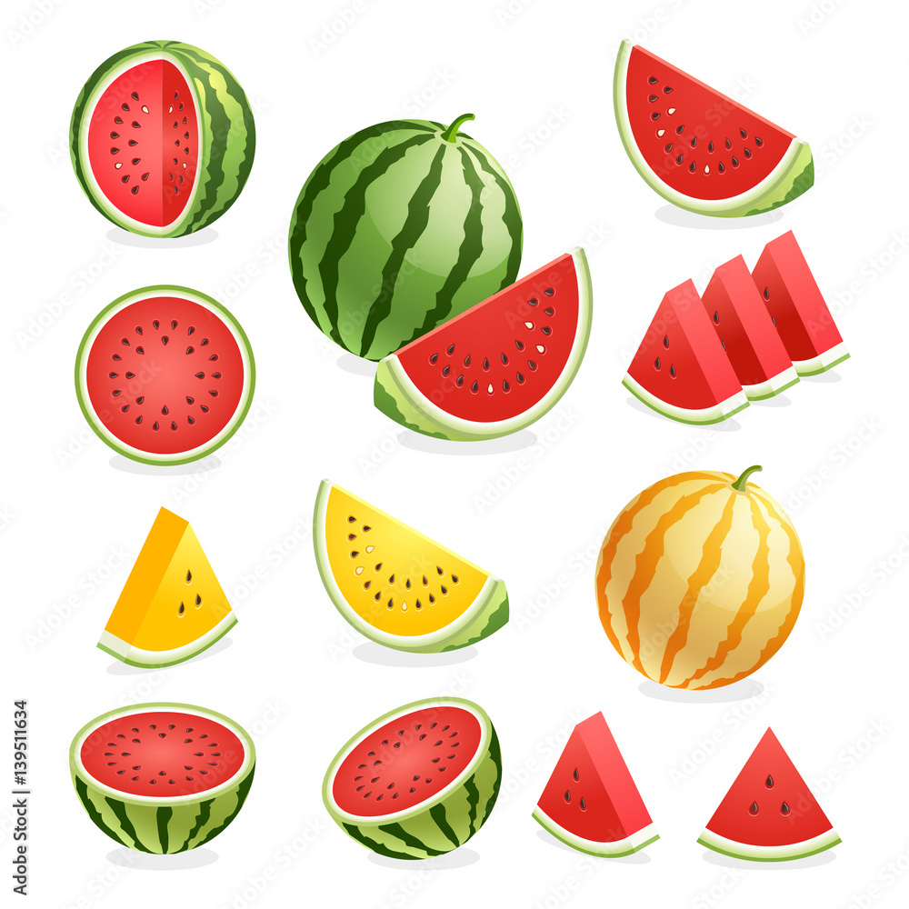 Watermelon. Vector illustration.