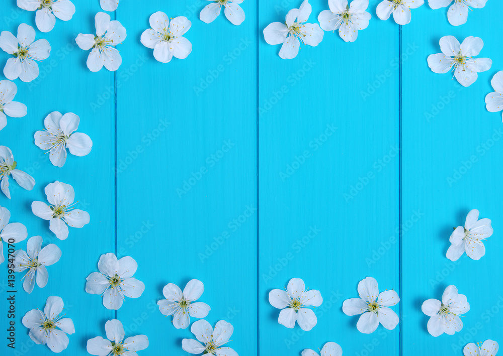  blossom on blue wood background