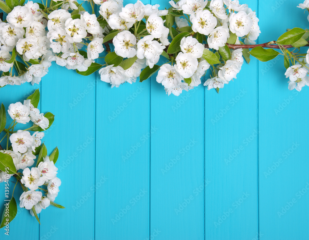 蓝色木质背景上的花朵