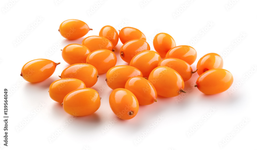 Sea buckthorn. Fresh ripe berries isolated on white background.