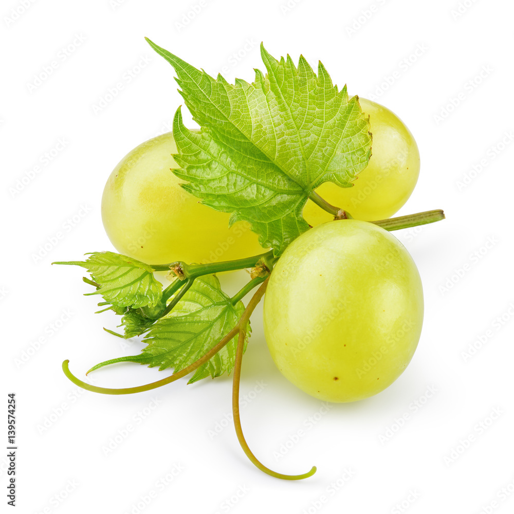 Green grape. Bunch of fresh berries with leaves and tendrils isolated on white. Full depth of field.