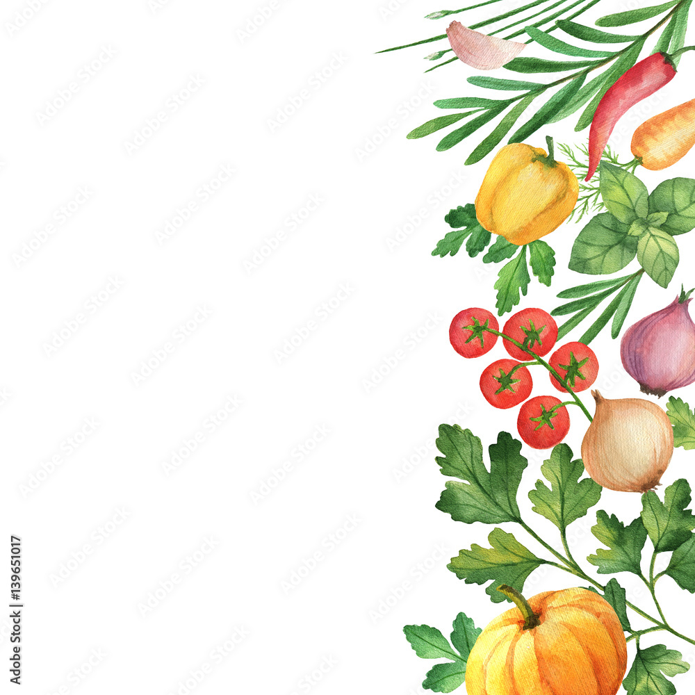 Watercolor vegetables and herbs isolated on white background.