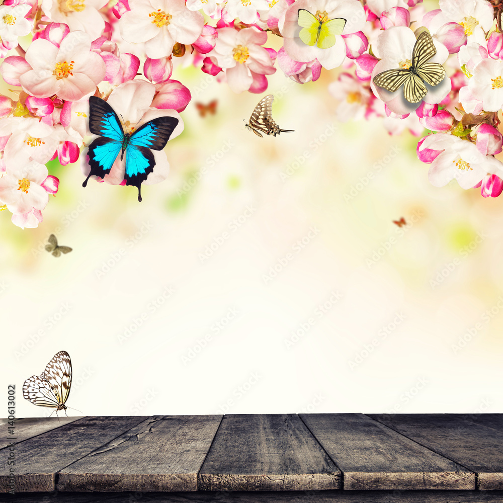 樱花配蝴蝶和木板