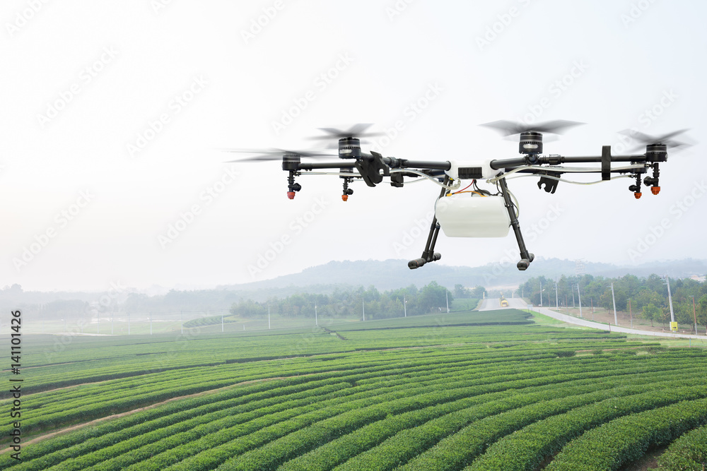 农业无人机清晨在绿茶地上