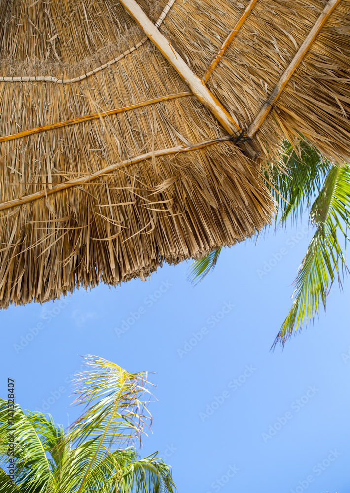 在稻草伞下。焦点对准稻草，椰子树顶在蓝天下失去了焦点。