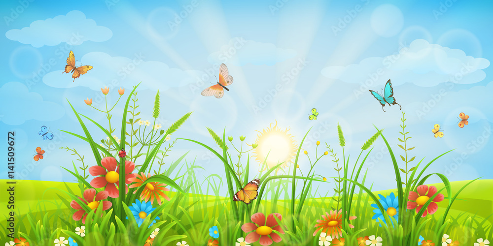 Green meadow background with grass, red flowers and butterflies