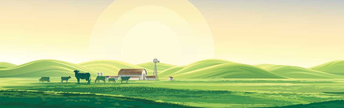 奶牛和农场的夏季乡村景观，山丘上方的黎明，细长的格式。