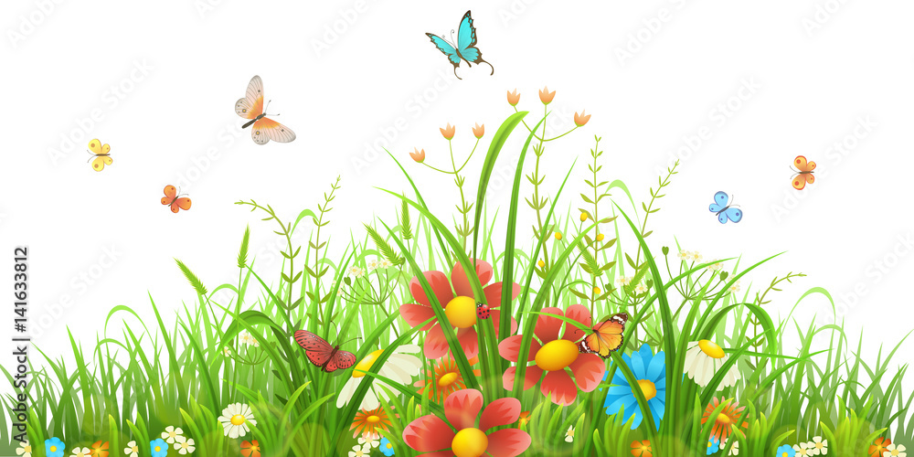矢量绿草，白色花朵和蝴蝶