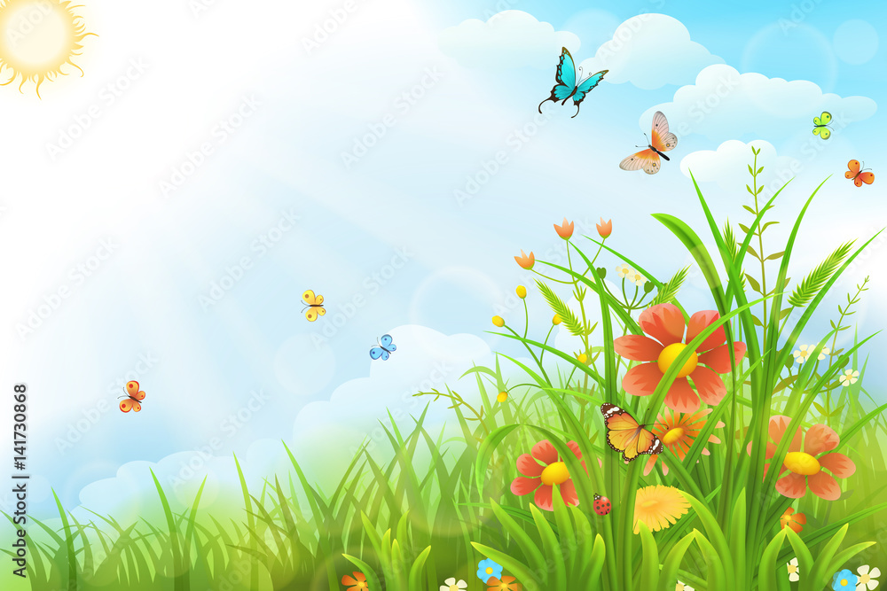美丽的夏季背景，绿草、鲜花和蝴蝶