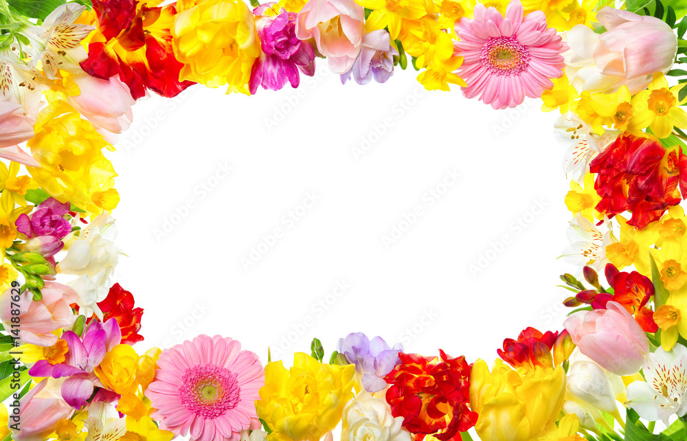 Rahmen aus bunten Blumen mit weißem Textfreiraum, ideal für Frühling oder jeden blumigen Anlass