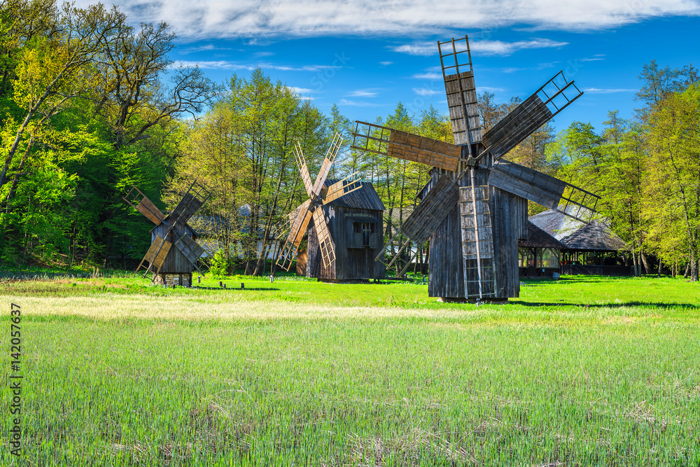 传统的旧风车，阿斯特拉博物馆，特兰西瓦尼亚，罗马尼亚，欧洲