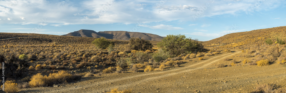 Tankwa Karoo场景。北开普省。南非。