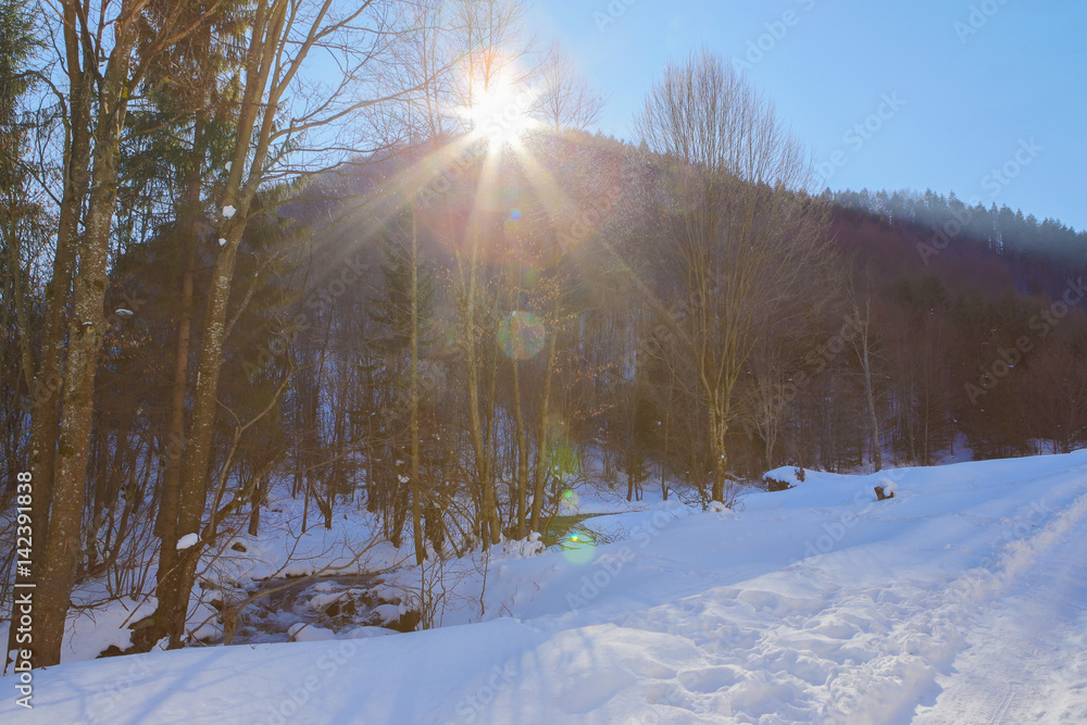 在特兰西瓦尼亚神奇的野生山丘上度过了一个美丽的冬日。