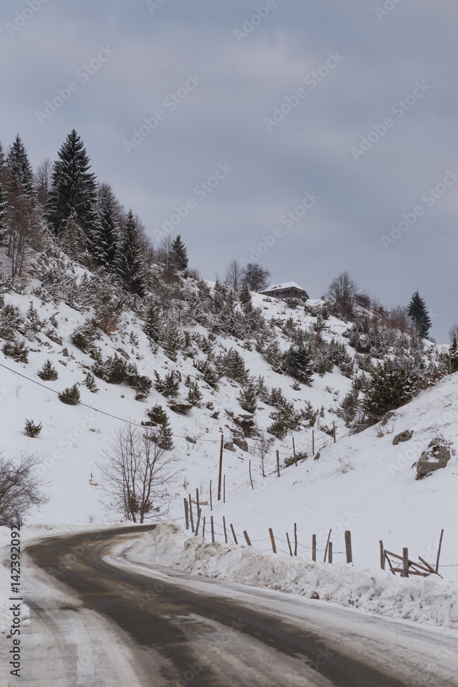 Beautiful winter mountain landscape with snowflakes in frosty winter day. Carpathian wild mountains.