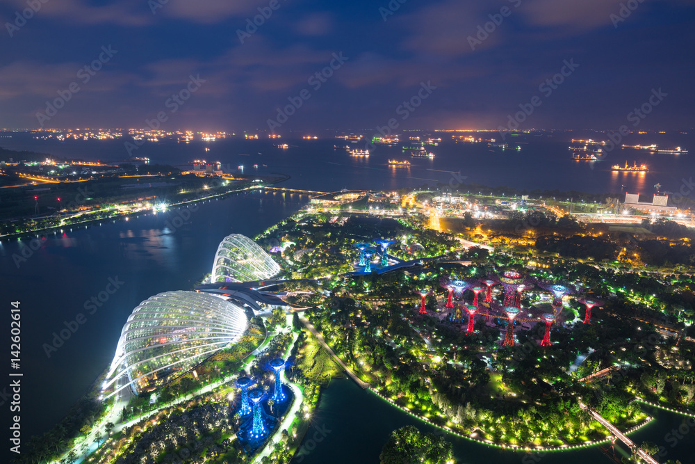新加坡滨海湾附近的新加坡花园夜间鸟瞰图。