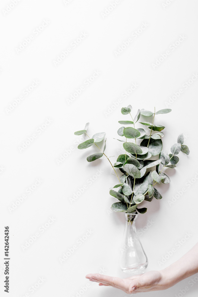 白色背景上有绿叶的花卉概念俯视模型