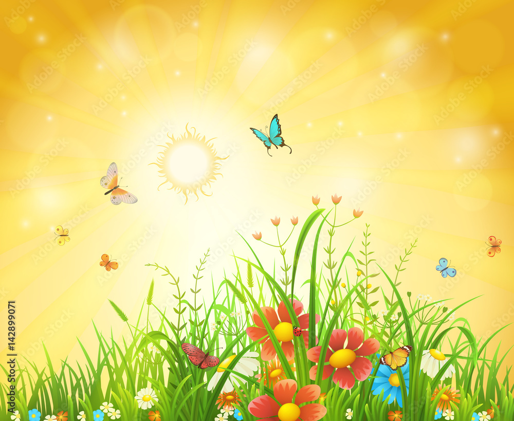 Bright summer vector background with sun, flowers, butterflies and grass