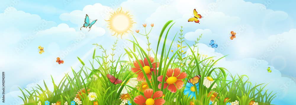 Summer and spring meadow background with green grass, flowers and sky