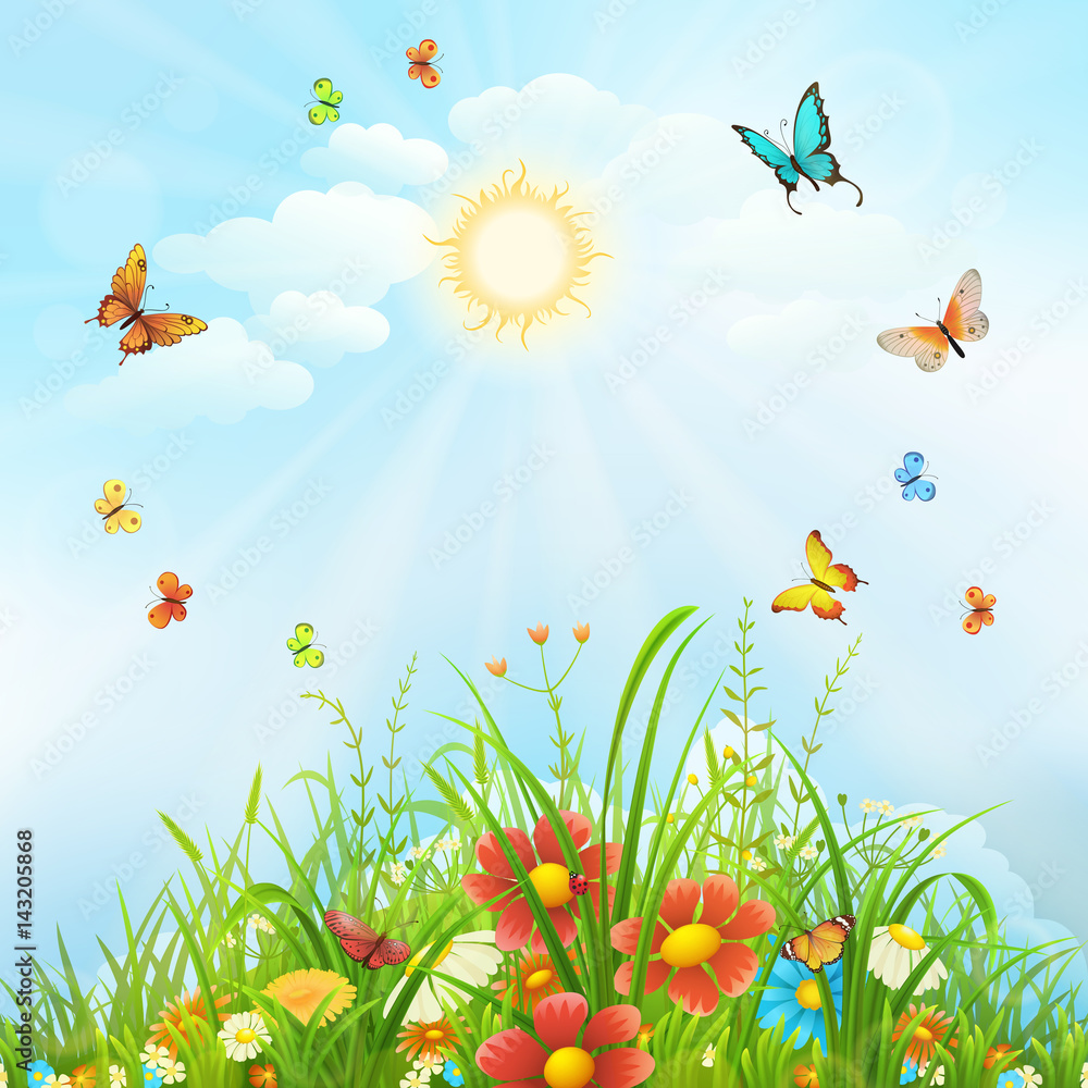 蝴蝶、花朵和绿草的夏日背景