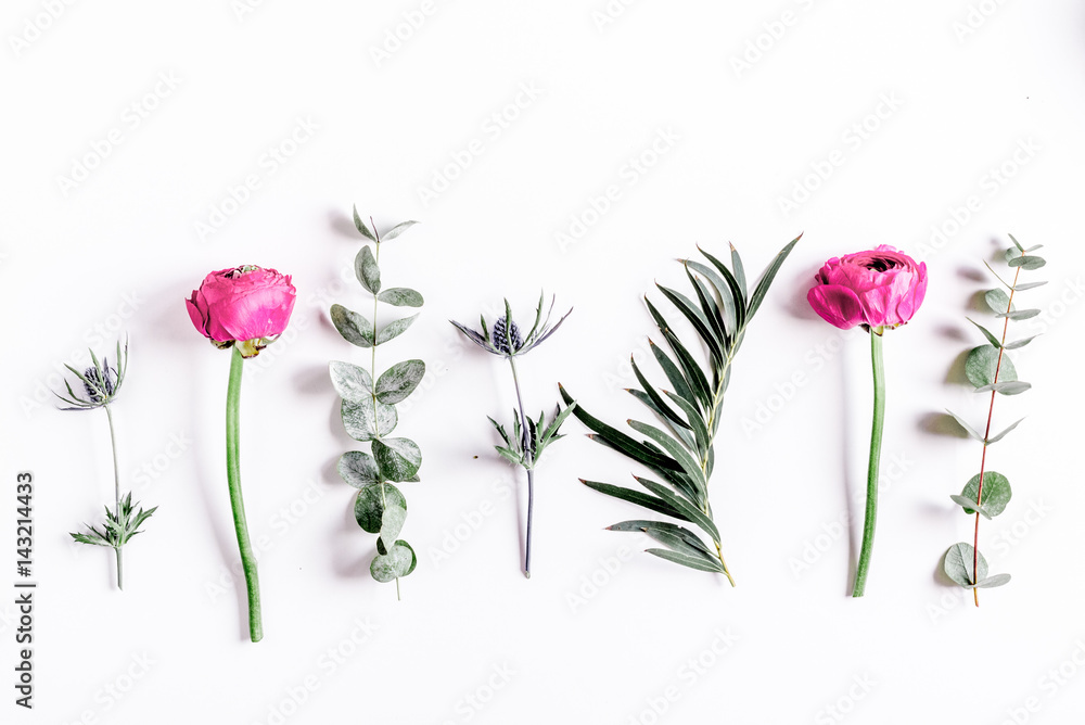 白色背景粉色花朵的花卉概念俯视模型