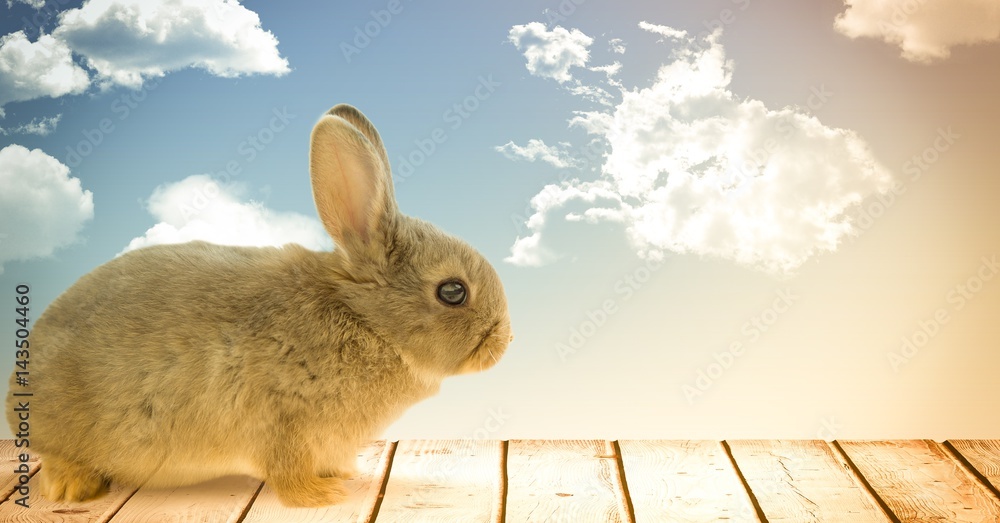 蓝天前的复活节兔子