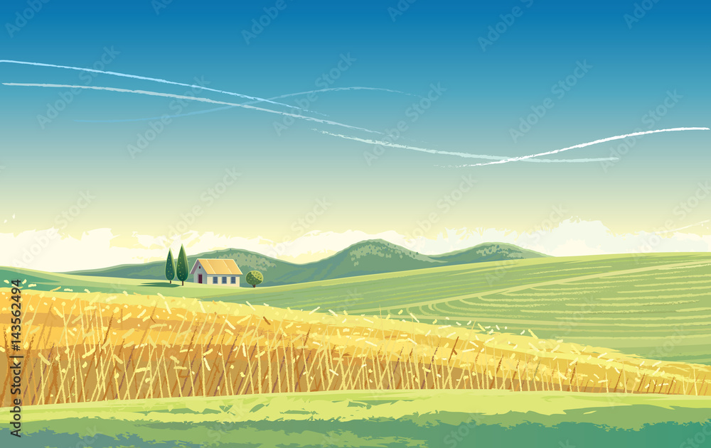 Rural landscape with wheat field and house on the hill.