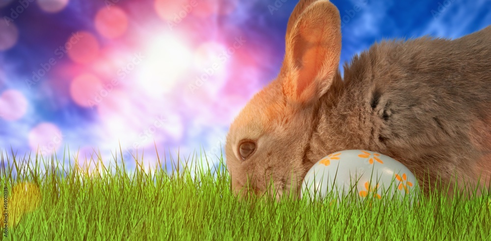 复活节彩蛋图案兔子的合成图片