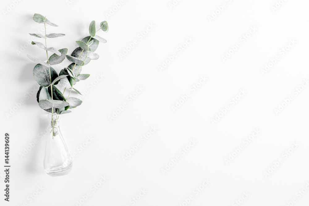 白色背景的现代草药模型的春天俯视图