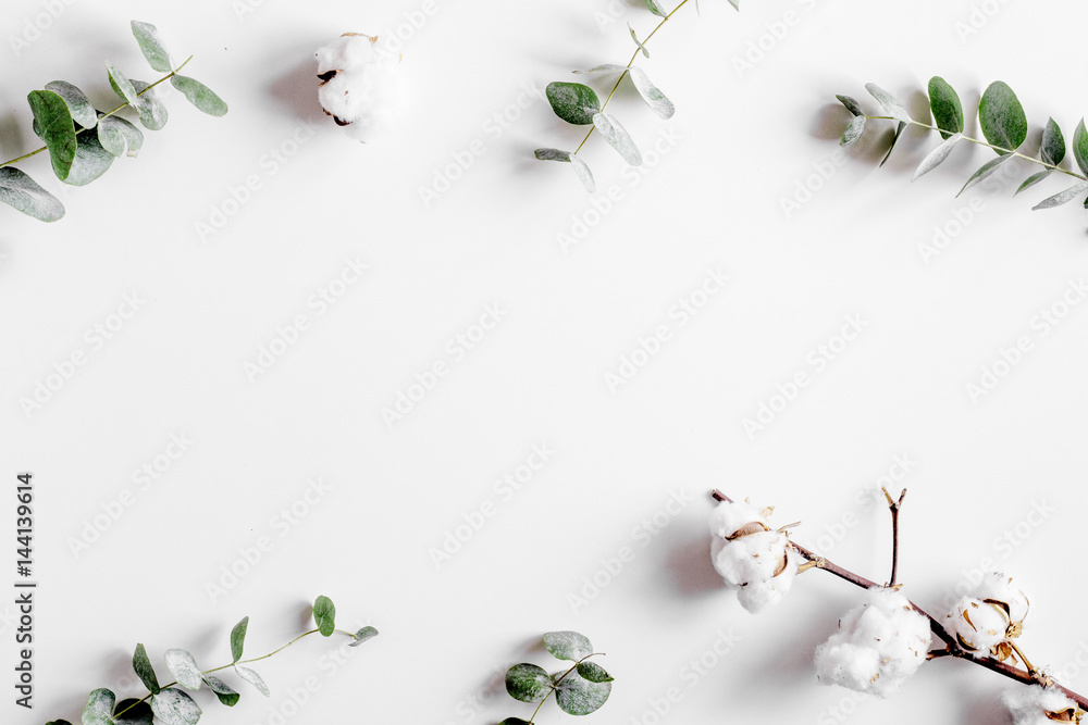 现代春季设计，白色背景植物俯视模型