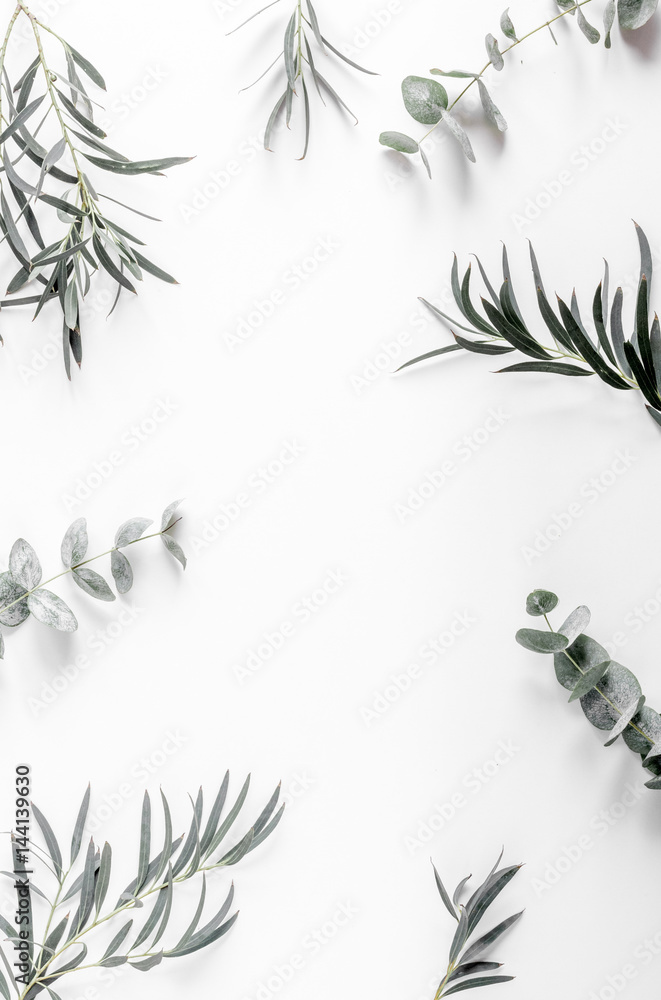 白色背景绿叶花卉概念俯视模型