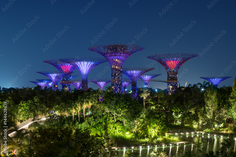 海湾花园的新加坡夜天际线