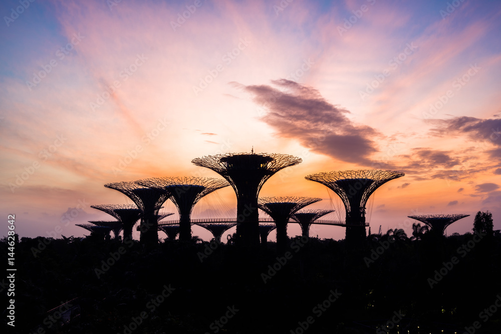 Beautiful sunrise at Gardens by the Bay in Singapore