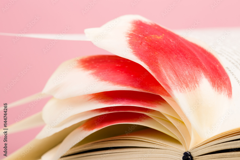 教育与阅读理念——带花叶子的开卷
