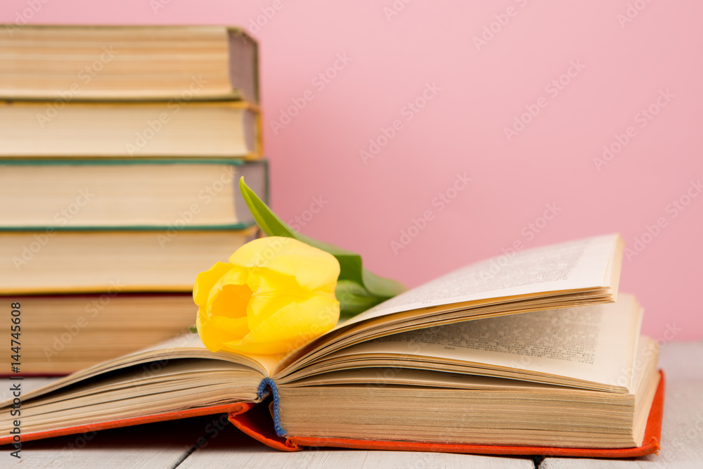 education and reading concept - open book with flower leafs