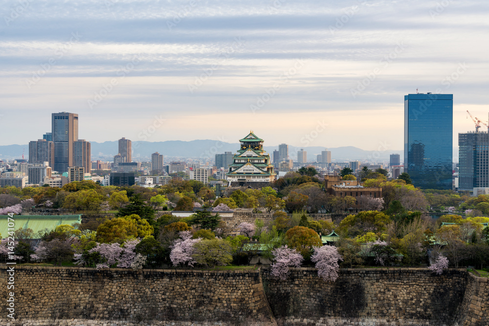 Osaka castle with cherry blossom and Osaka center business dictrick in background atOsaka, Japan. Ja