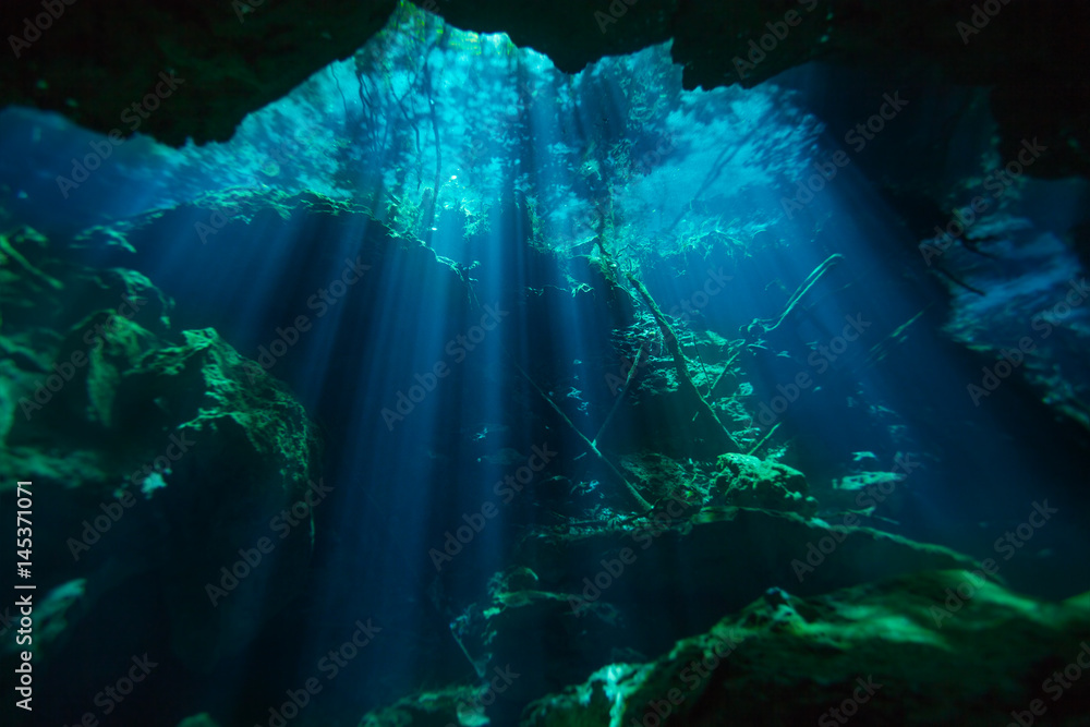 美丽的阿祖尔塞纳特水下世界